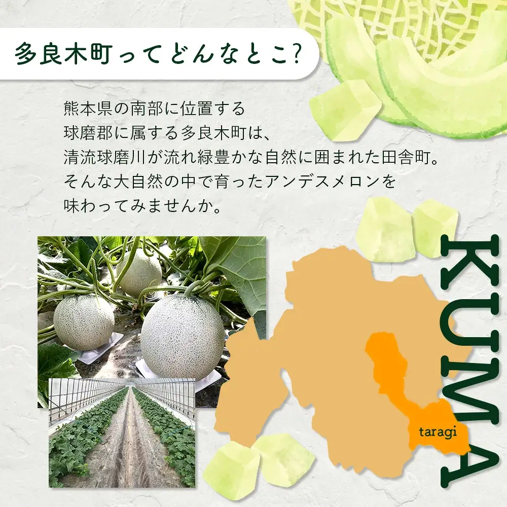 【2027年5月上旬～発送】アンデスメロン 青肉 5玉 (合計 約4.5～5kg) 先行予約 熊本県 多良木町産 果物 フルーツ メロン 先行予約 5個 青肉 ミツバチ交配 期間限定 数量限定 109-0501