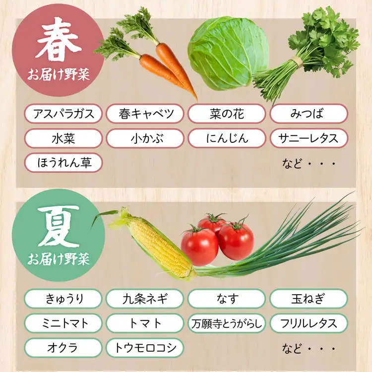 【12回定期便】旬の朝採れ 新鮮野菜セット 野菜 7～10品 