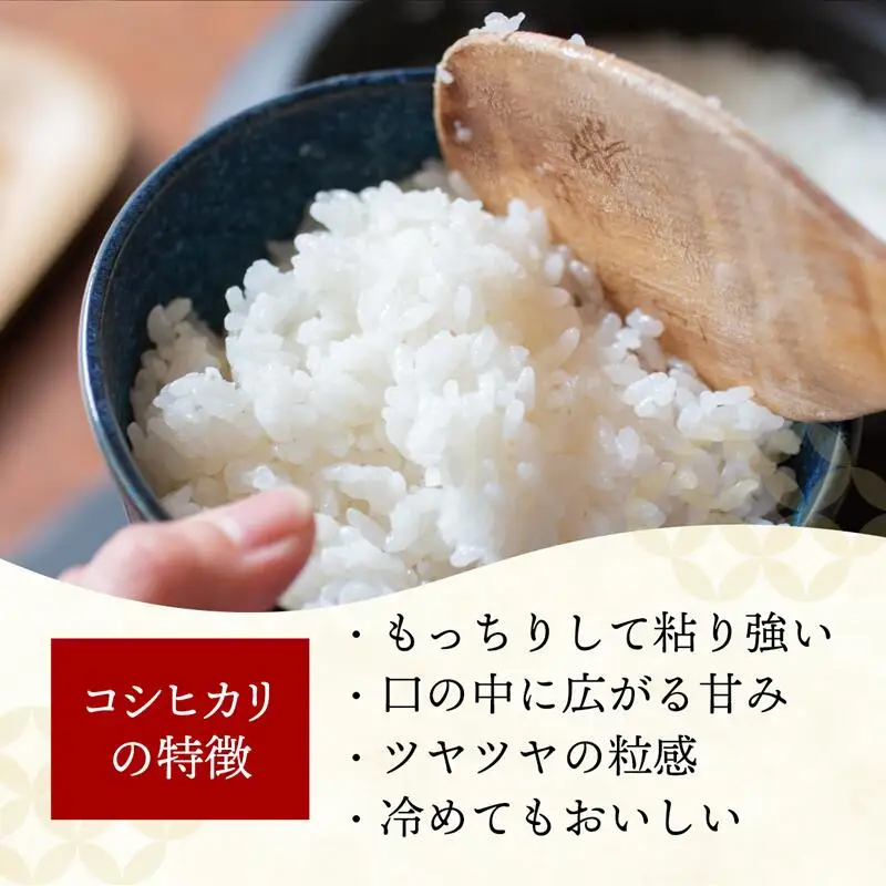 令和6年度産【特別栽培米】コシヒカリ 5kg - こしひかり 5kg 令和6年産 精米 埼玉県 幸手市 幸手市産