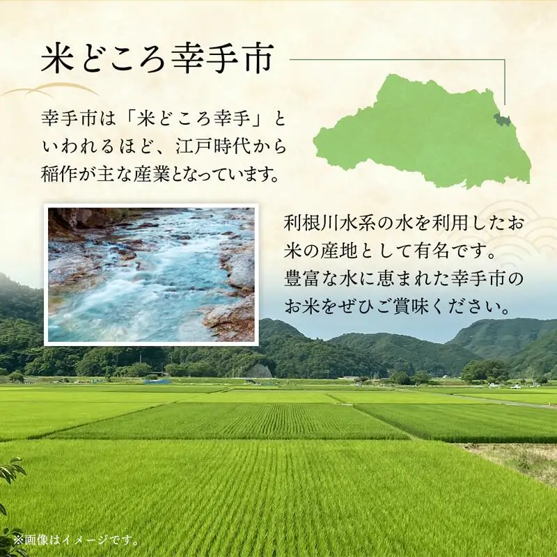 令和6年度産 ミルキークイーン 5kg - 精米 5kg 令和6年産 白米 埼玉県 幸手市 幸手市産