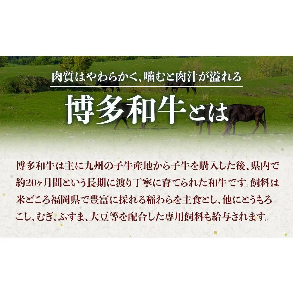 博多和牛A4ランク以上焼肉用タレ漬1.1 kg