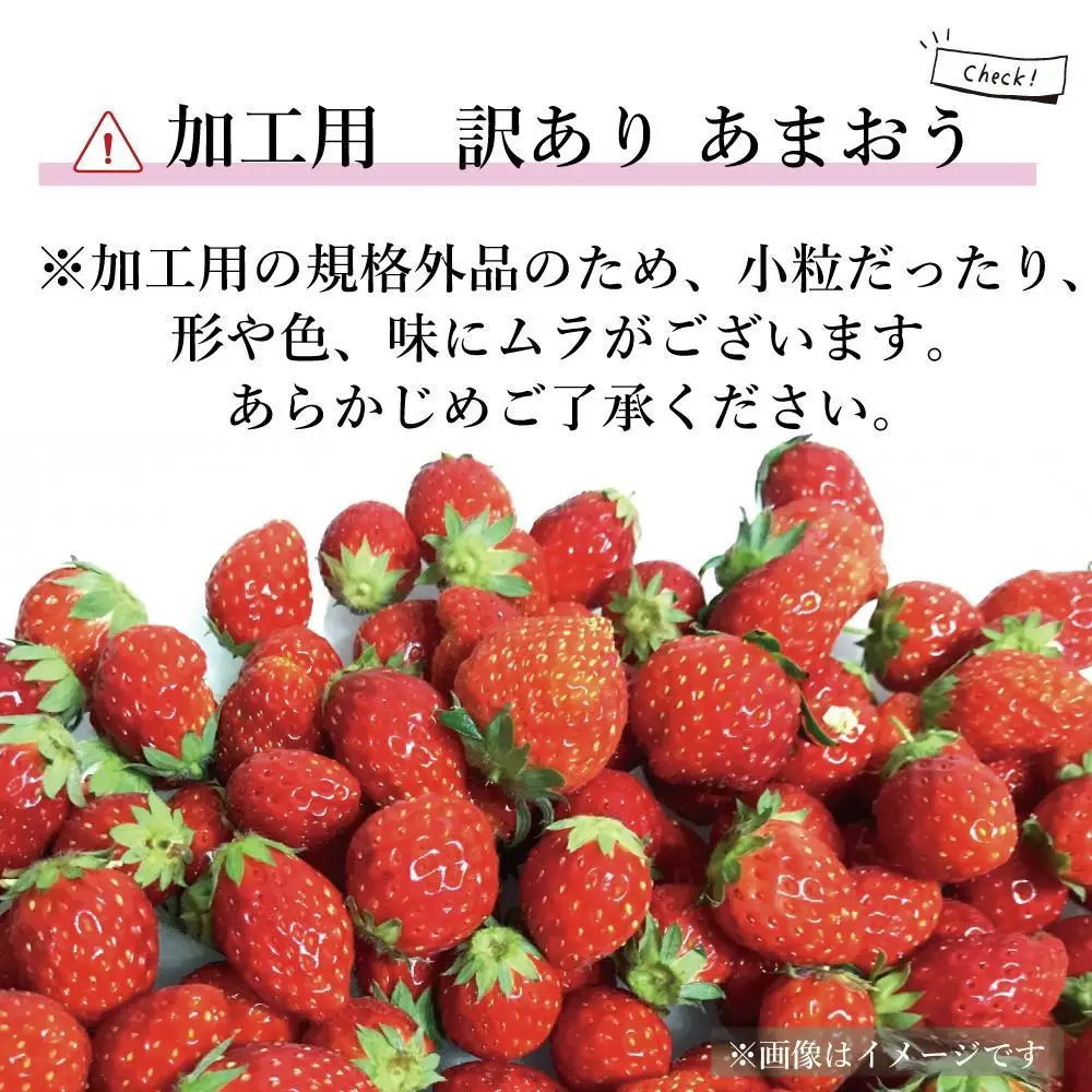 【2027年5月以降順次発送】訳あり加工用あまおういちご バラ詰め福岡県産 たっぷり約1.7kg＜配送不可：北海道、沖縄県、離島＞