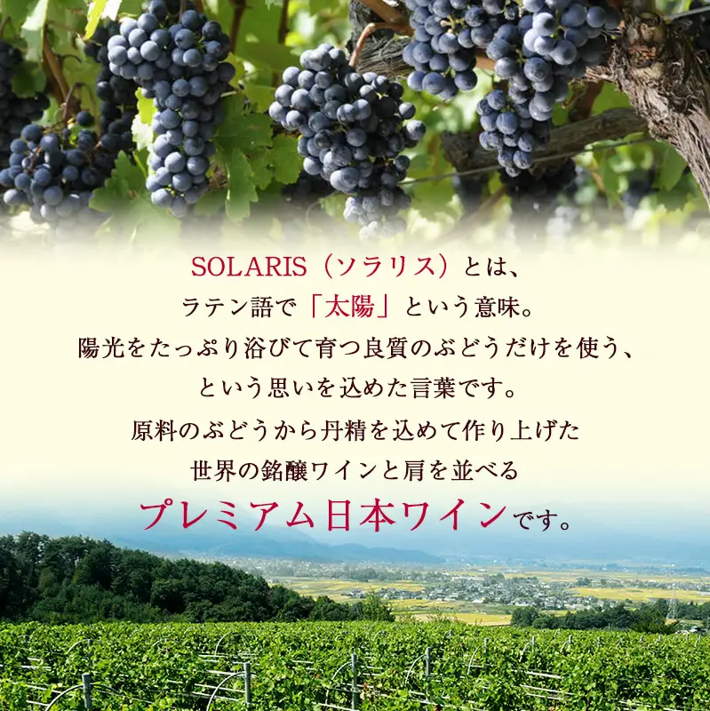 ワイン ソラリス ユヴェンタ 赤 ワイン