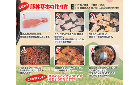 【業務用 大容量 6本】ソラチ 十勝豚丼のたれ 1250g 6本