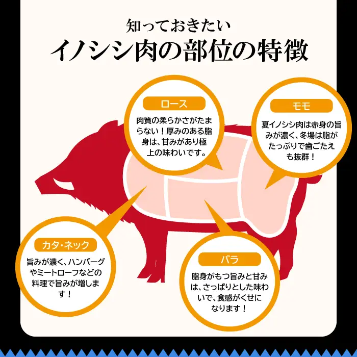 イノシシ肉 味噌すき鍋セット 約500g