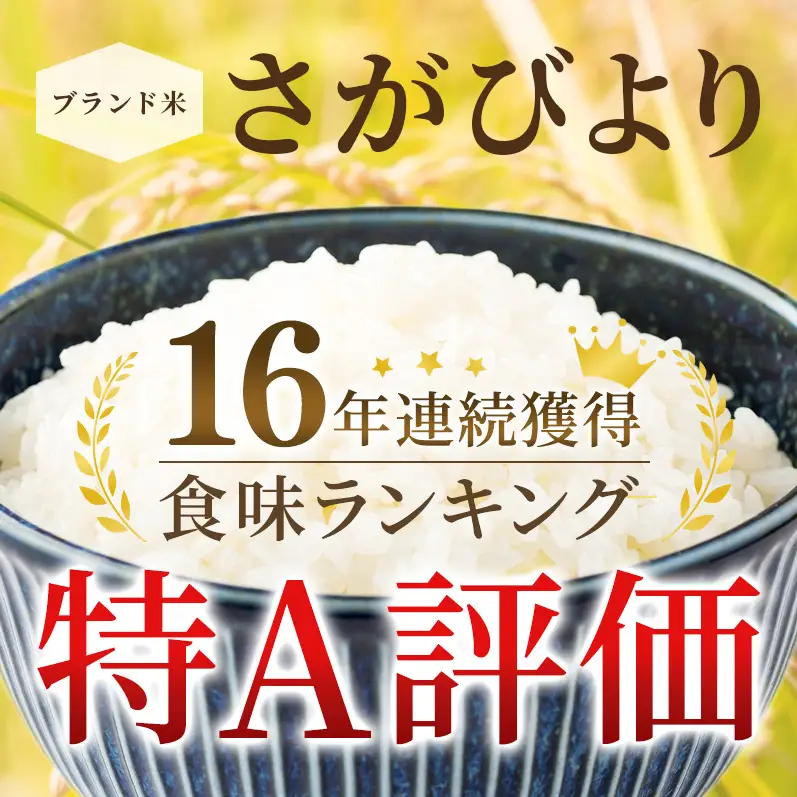 ≪ 定期便 3回 計 9kg ≫ 令和7年産 無洗米 9kg ( 3kg × 3回 ) さがびより 佐賀県産 特A 米 お米 こめ コメ 白米 五つ星 お米マイスター厳選 弁当
