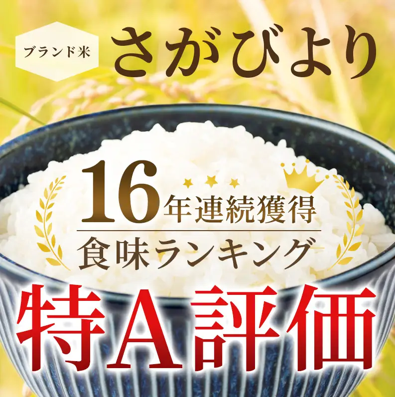 ≪ 定期便 3回 計 18kg ≫ 令和7年産 無洗米 18kg (6kg × 3回 ) さがびより 佐賀県産 特A お米 こめ コメ 白米 五つ星 お米マイスター厳選 弁当