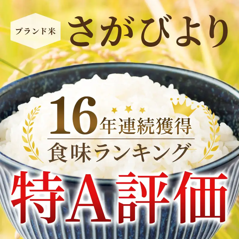 ≪ 定期便 6回 計 18kg ≫ 令和7年産 無洗米 18kg ( 3kg × 6回 ) さがびより 佐賀県産 特A お米 こめ コメ 白米 五つ星 お米マイスター厳選 弁当