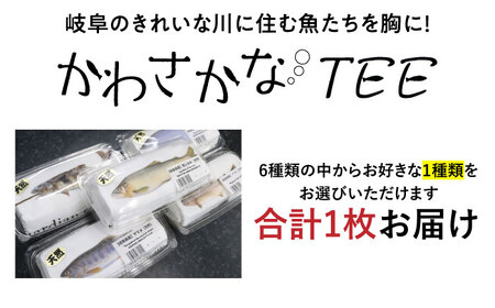 国産 Tシャツ かわさかなTEE Tシャツ [ANGD002] Tシャツ