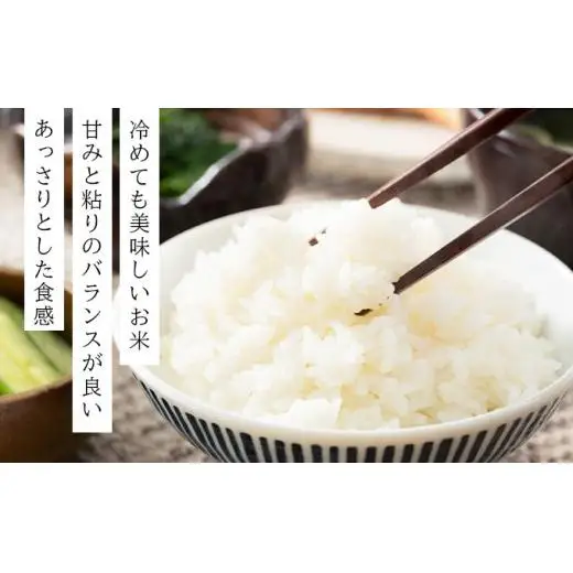《令和 7 年産》お米 ななつぼし精米 5kg｜米 精米 北海道 岩 見沢市 ファーム坂口の特別栽培米