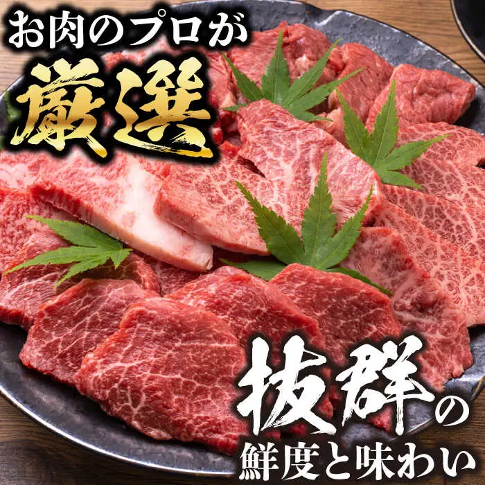 【全12回定期便】おおいた豊後牛 焼肉用 500g 赤身 モモ 焼肉  冷凍 豊後牛 BBQ[AREI100]