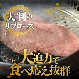 【冷凍】 前沢牛 リブロース 大判焼き 500g [ME025]
