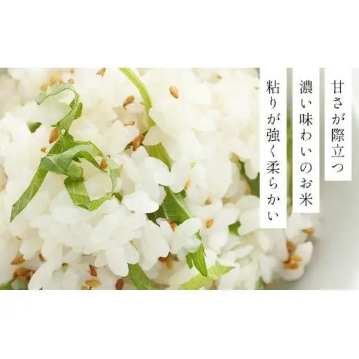 令和7年産！ファーム坂口の特別栽培米 ゆめぴりか精米 5kg