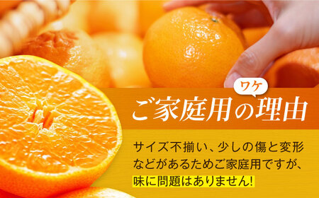 甘平【ご家庭用】甘平  約2.5kg 10個前後 [AGDC004]
