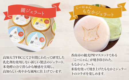【アイス】いろいろな商品が味わえる ジェラート バラエティギフト セット 合計20個 アイス詰め合わせ dc-0066