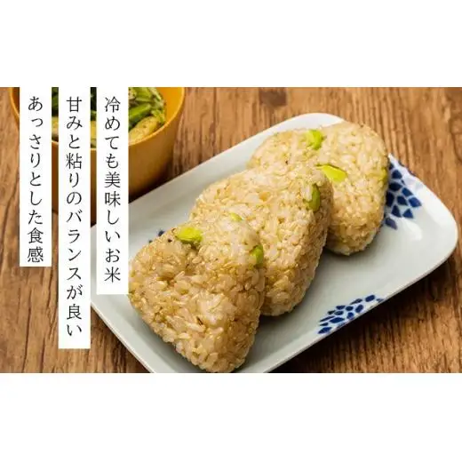 令和7年産！ファーム坂口の特別栽培米 ななつぼし玄米 10kg (10kg×1袋)