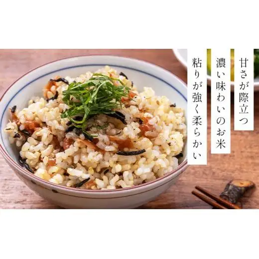 【玄米】《令和 7 年産》お米 ゆめぴりか玄米 10kg(5kg×2袋)｜米 北 海道 岩見沢市 ファーム坂口の特別栽培米
