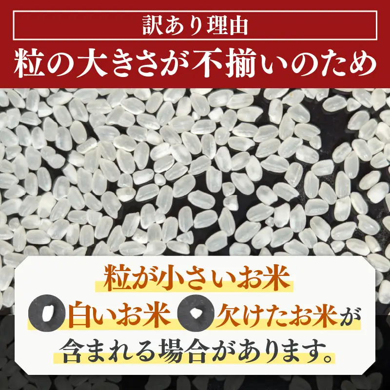 【訳あり】【数量限定】あわら市産 令和7年産 細雪米（コシヒカリ・ハナエチゼン・あきさかりのいずれか） 精米 10kg 《発送直前精米》 [aw012-a042]