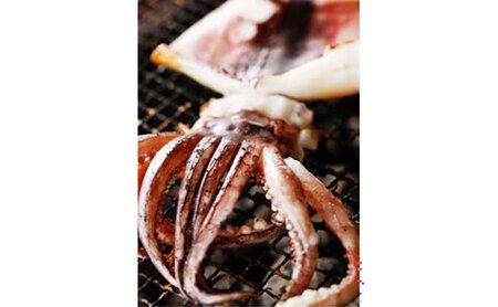 【3ヵ月毎定期便 全4回】日本海産　柔らか肉厚のスルメイカ一夜干し(大)3枚　 魚貝類 イカ いか スルメイカ お酒 つまみ 特大 新鮮 保存 冷凍 国産 酒の肴 酒のつまみ myz02 myz10 myz11 myz17