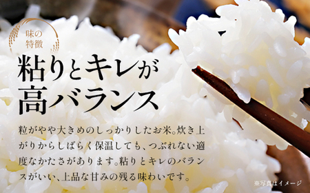 【2ヶ月定期便】青天の霹靂　精米5kg　【02408-0119】