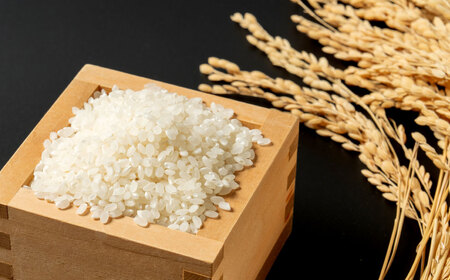 【令和7年産米】牛とつくったお米 ギフト「IWAFUNE」計1.8kg（新潟県岩船産 コシヒカリ・新之助・こしいぶき各600g）1041003