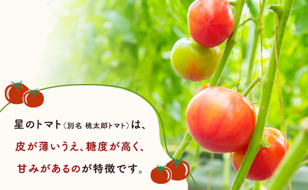 無添加 無塩 トマト ジュース 「 星のトマトミックス 」 180ml 12本  ジュース