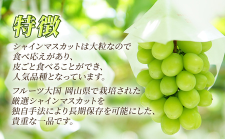 贈答用 岡山県産 シャインマスカット 2房 約1.3kg以上 ぶどう