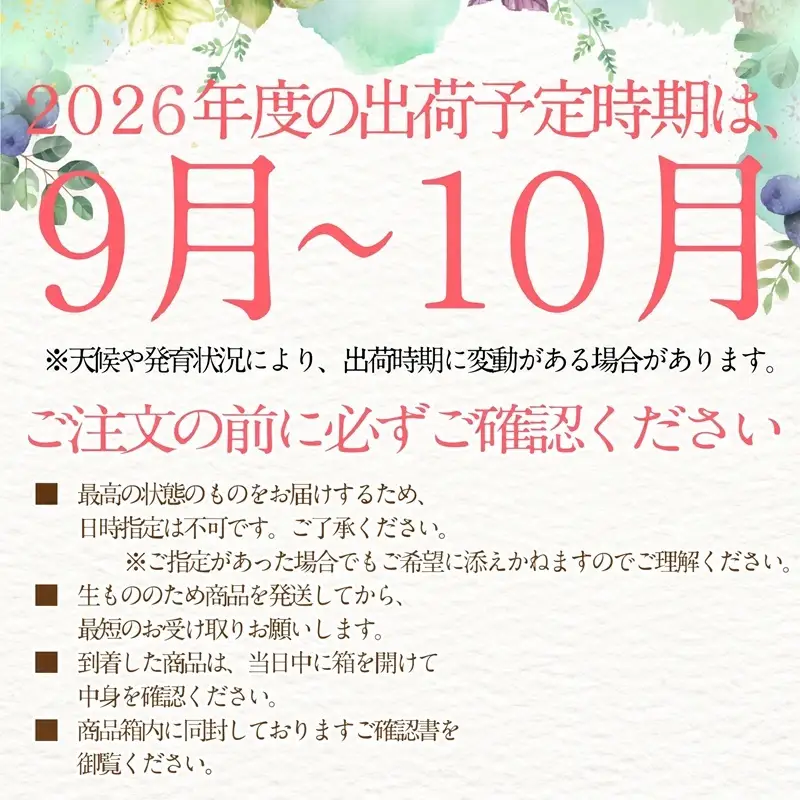 2026年 先行予約シャインマスカット 晴王 1房約720g 9月～10月出荷/ 岡山県産 種無し 皮ごと食べる みずみずしい フレッシュ 晴れの国 おかやま　 果物大国 彩美菜果