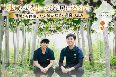 【期間限定発送】 ぶどう デラウェア 5～8房 約 1kg