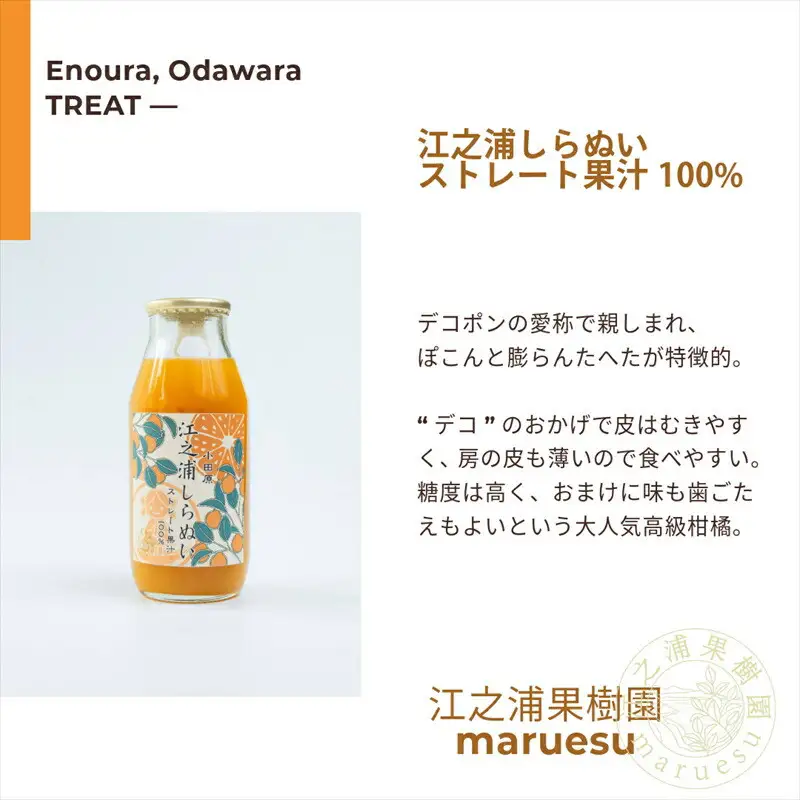 小田原産江之浦みかんジュース５種のみくらべ2０本セット うんしゅう・しらぬい・ゴールデン・なつみ・バレンシアオレンジ１００％ストレートジュース１８０ml各４本合計２０本【みかんジュース みかんジュース 神奈川県 小田原市 】