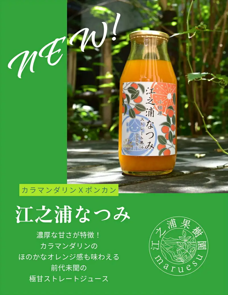 【定期便（2カ月ごと全3回）】 小田原産江之浦みかんジュース３種のみくらべ３０本セット うんしゅう・なつみ・バレンシアオレンジ１００％ストレートジュース１８０ml各１０本合計３０本【みかんジュース みかんジュース 神奈川県 小田原市 】