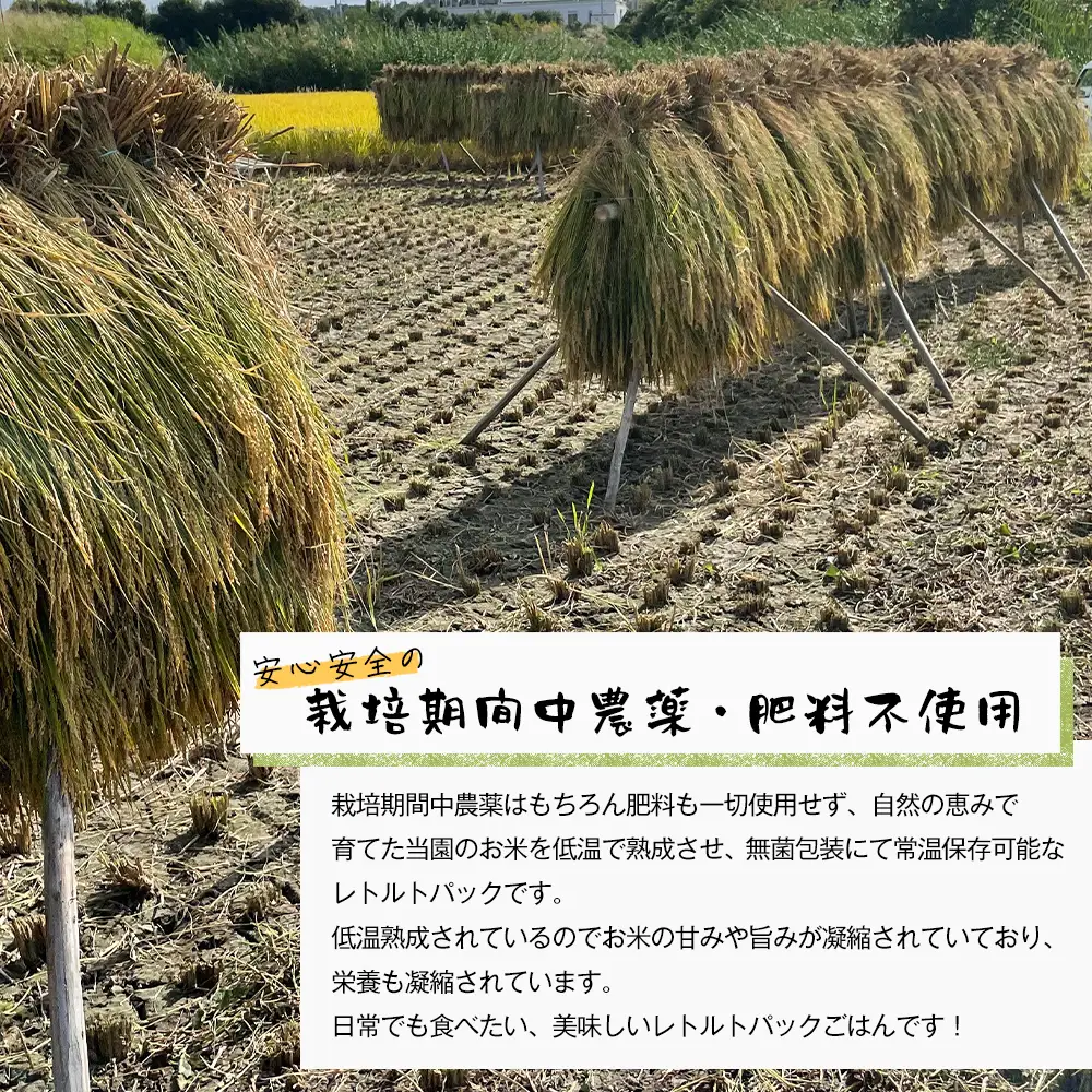 レトルトごはん（玄米） 10パックセット 化学調味料無添加・無菌