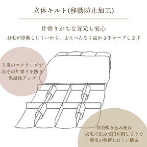 羽毛布団 アイダーダウン95% 掛布団 シングル モナク