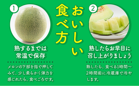 【先行予約】 メロン 肥後グリーンメロン 2玉 約 3kg ～ 4kg 株式会社Foody’s 食彩たかみ 《2027年5月下旬-7月下旬頃出荷》 熊本県 菊池市 フルーツ 果物 メロン 九州産 冷蔵 送料無料