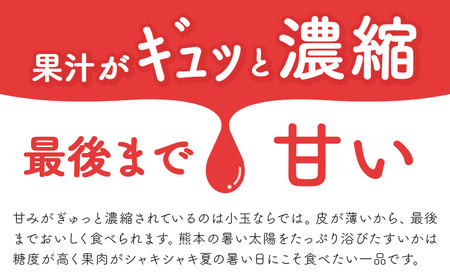 【先行予約】スイカ 小玉すいか 秀品 2玉 約 2kg ～ 3kg L ～ 3L 混合 株式会社Foody’s 食彩たかみ 《2027年5月下旬-7月下旬頃出荷》 熊本県 菊池市 フルーツ 果物 スイカ すいか 小玉 九州産 冷蔵 送料無料