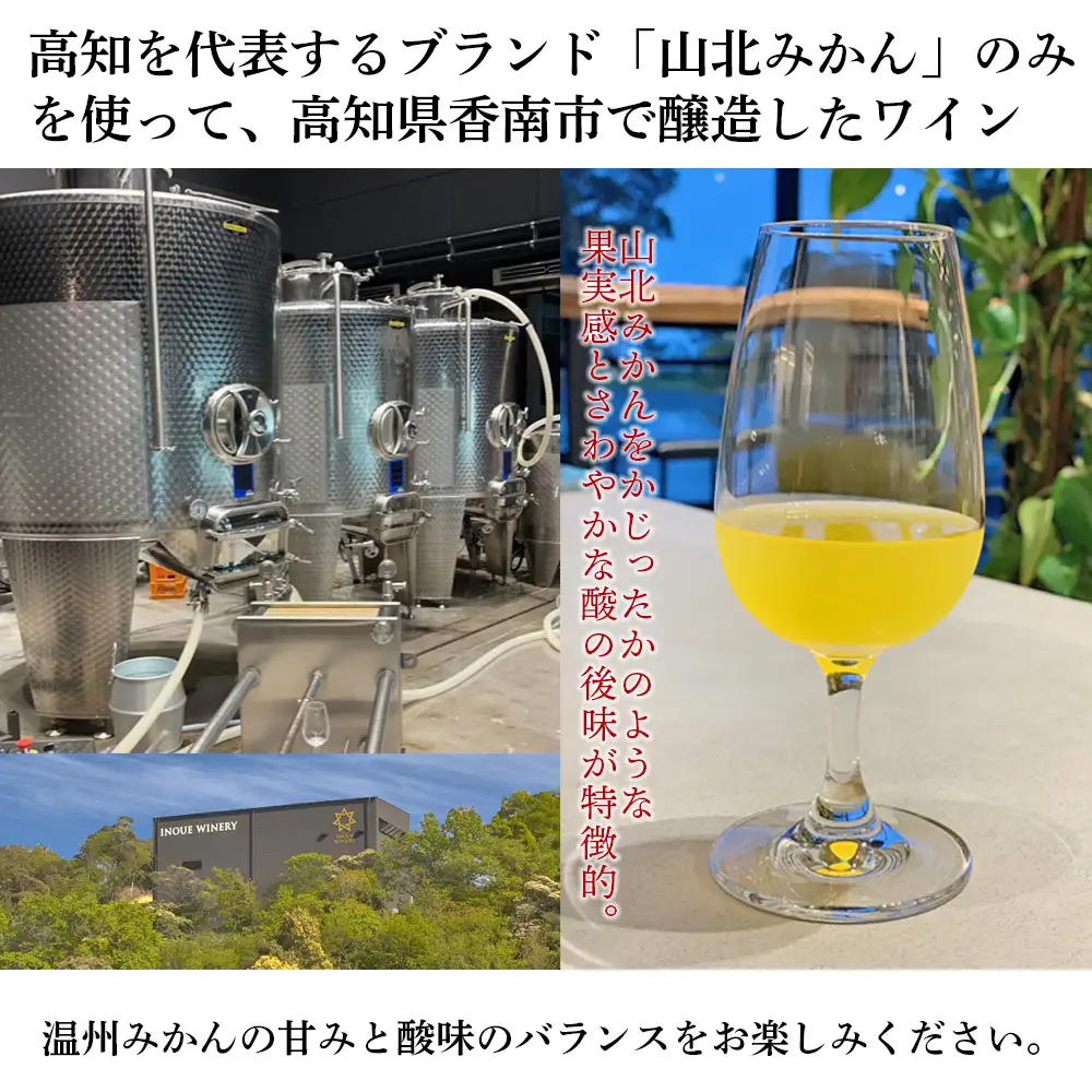 山北みかんワイン 1本 750ml【ワイン ワイン ワイン ワイン ワイン】 iw-0006