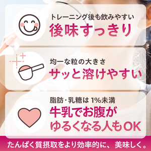 【定期便】DAILY BASIC+ WPI チョコレート（2か月連続お届け） 【0105-006】 ﾌﾟﾛﾃｲﾝ 高ﾀﾝﾊﾟｸ質 低糖質 低脂質 健康食品 美容食品 溶けやすい ﾀﾞｲｴｯﾄ 甘すぎない