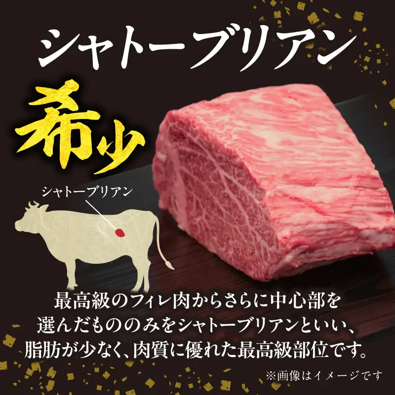 山形牛シャトーブリアン 金塊ブロック 450g 【肉の小林】 058-001 