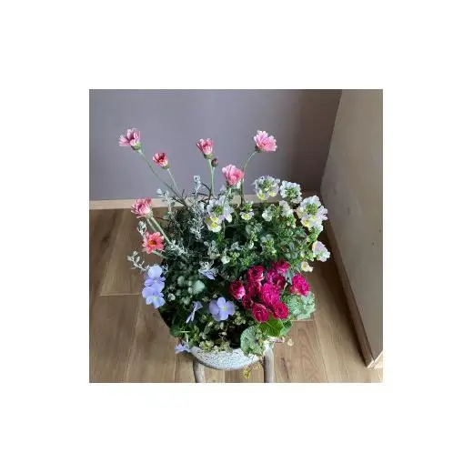 Kanonのおまかせ季節の寄せ植え / 植物 寄せ植え お花 リーフ 贈答 ギフト 送料無料