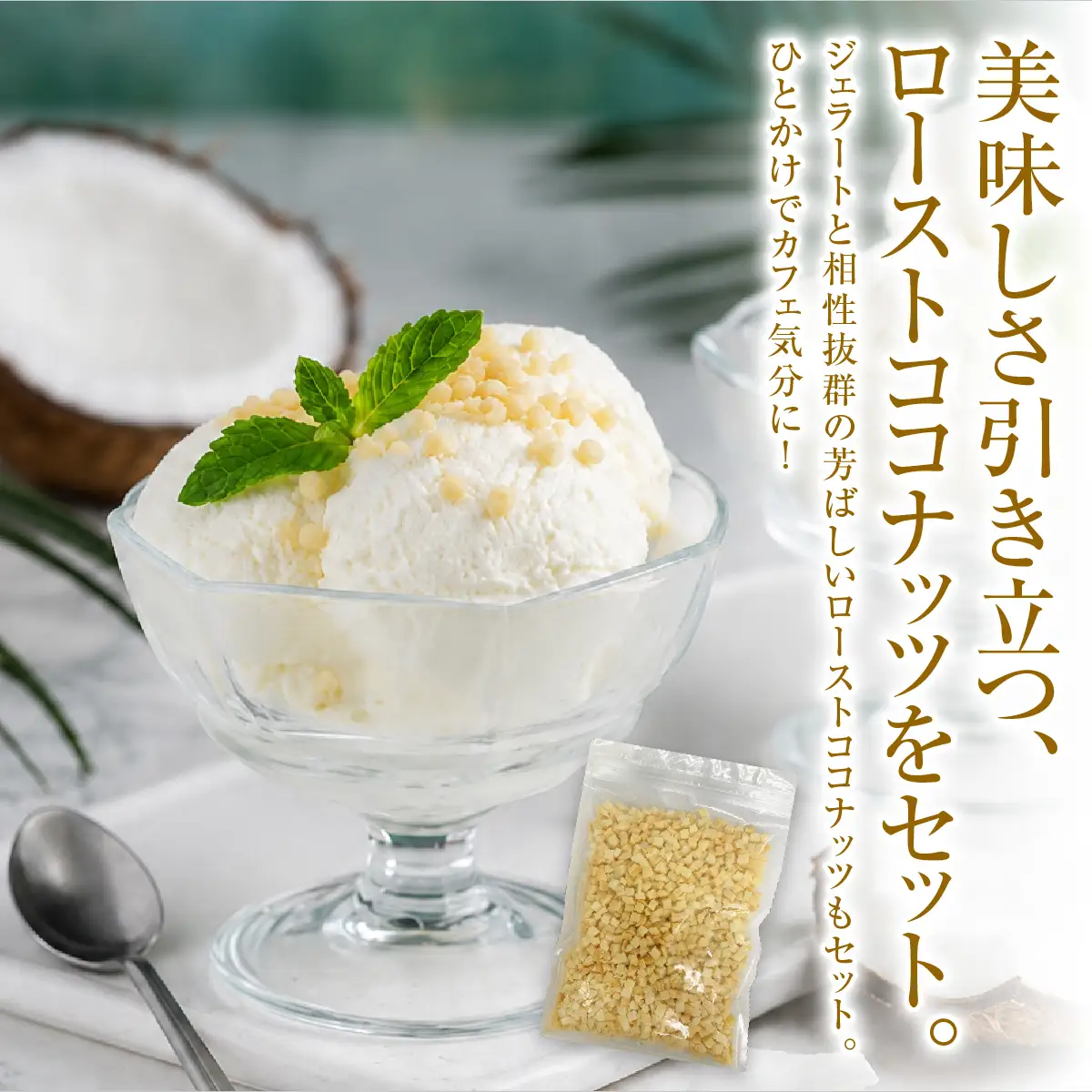 【卵、香料不使用】濃厚ココナッツジェラート業務用２Ｌ入りとローストココナッツのセット【jbpy0002】