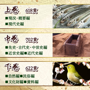 佐伯市誌 上・中・下巻 (全3巻) 本 書籍 歴史 資料 通史 古代 文芸 民俗 文化財 大分県 佐伯市 【HR01】【佐伯市教育委員会社会教育課】