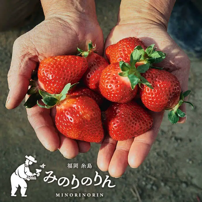 【農家直送！】 冷凍あまおう 2kg（500g×4パック）いちご 苺 糸島市 / みのりのりん [ABD007]