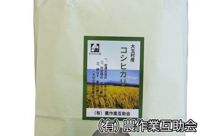 コシヒカリ 米 【12回定期便】合計120kg 令和7年 コシヒカリ コシヒカリ コシヒカリ
