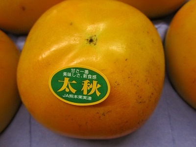 先行予約 太秋柿 合計約2kg（5～6玉）【2026年10月上旬〜11月中旬頃発送予定】サンサンうきっ子宇城彩館