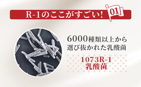 飲むヨーグルト R-1 6ヶ月 36本 飲むヨーグルト