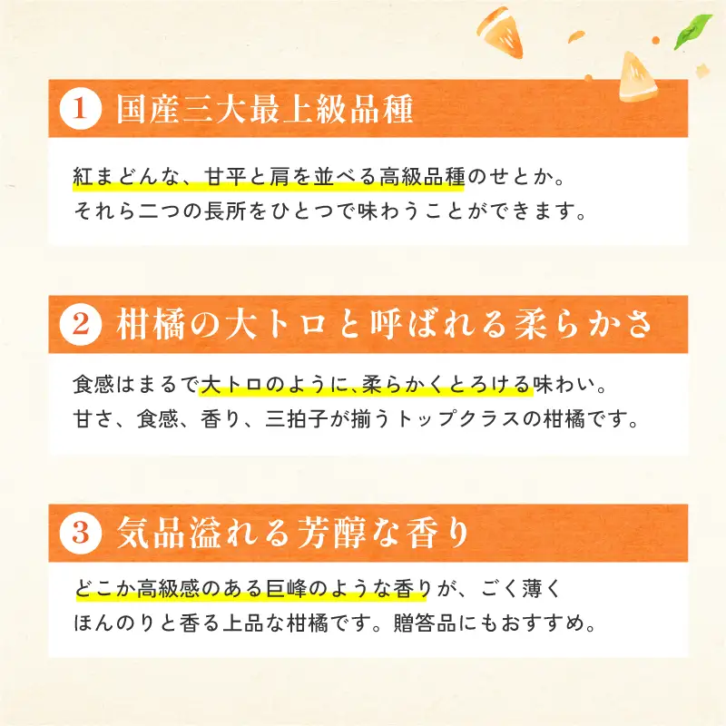 【先行予約】【数量限定】ホリ田ヤ せとか 2.5kg
