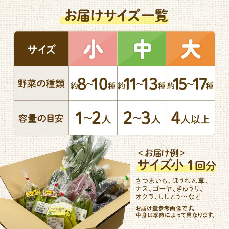 【全４回定期便】春夏秋冬 季節のお野菜セット（サイズ中/約11～13種） 【宮崎県 定期便 詰め合わせ 新鮮 産地直送 おまかせ 季節の野菜 ボックス 農家直送 有機栽培 送料無料 オーガニックのまち 宮崎県綾町】_A0053-014