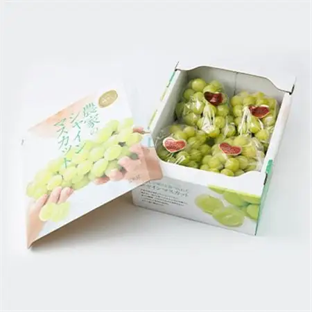 【訳あり】岡山県産シャインマスカット(ご家庭用)約2kg_果物・フルーツ ぶどう・マスカット  ブドウ 葡萄 _【配送不可地域：離島・北海道・沖縄県】【1321280】