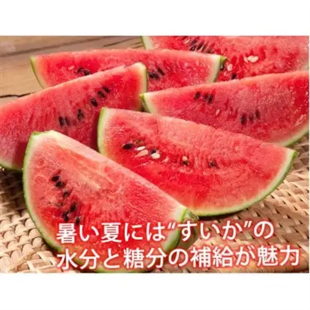 訳あり大玉すいか 1玉(約6kg～9kg)【2027年5月下旬より順次発送予定】(益城町)【1585582】