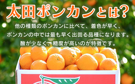 【先行予約】＜太田ポンカン 家庭用 約10kg＞ 果物 くだもの フルーツ みかん ミカン 柑橘 太田ぽんかん おおたぽんかん オオタポンカン ぽんかん 訳あり ご自宅用 特産品 株式会社笑丸 愛媛県 西予市【常温】『2027年1月中旬～1月下旬迄に順次出荷予定』AAN0055
